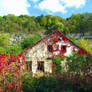 the abandoned house