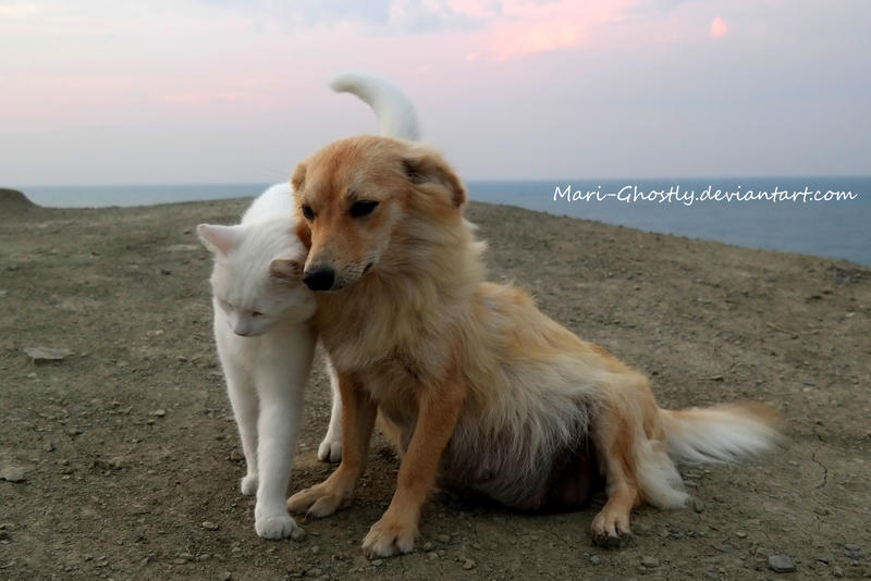 love you! by Mari-Ghostly love you! by Mari-Ghostly