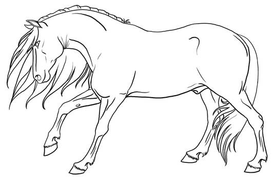 Stallion Lineart