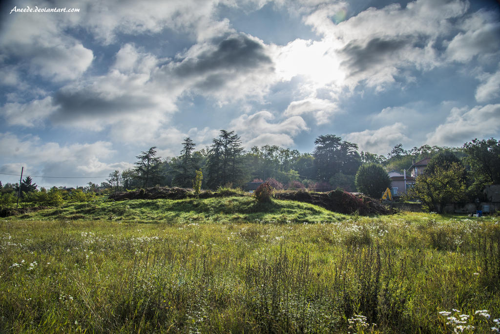 Sunny Landscape