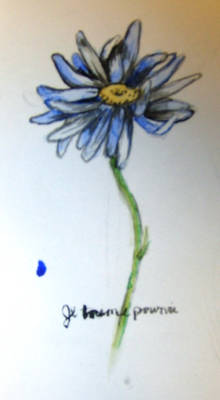 Blue Daisy : Je T'aime