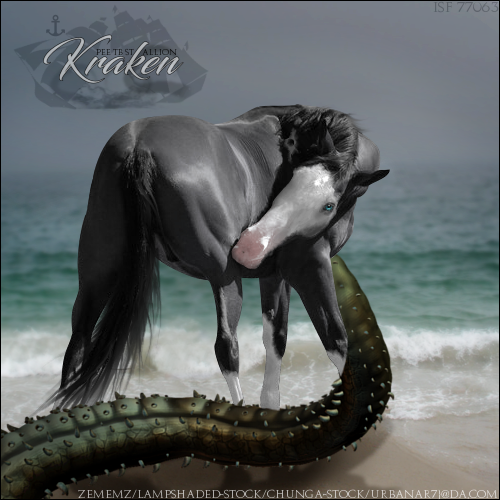 Kraken