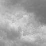 Rain Rain Go Away 4
