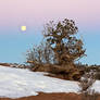 sunrise and the moon