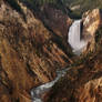 lower falls of Yellowstone