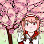 Blossoming Festivities: Under the Sakura trees