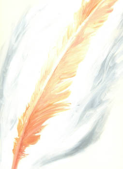 Feather of Pheonix