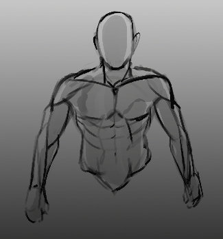Upper body muscles animation. by Worldevour on DeviantArt