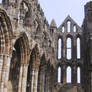 Whitby Abbey II