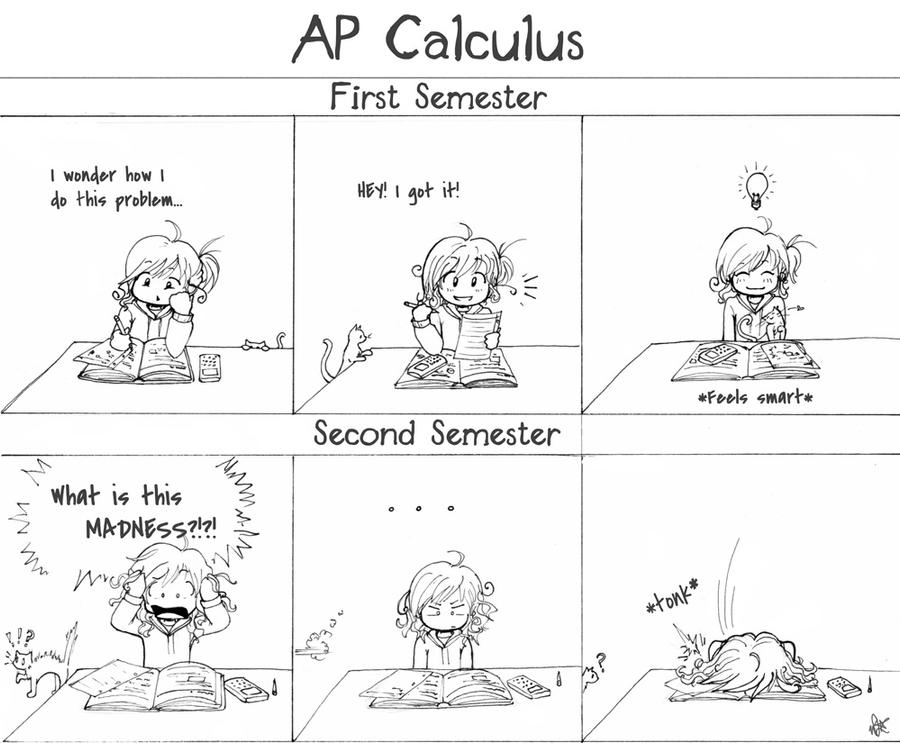 Calculation Deviantart Calculus Madness by DreamerWhit on DeviantArt