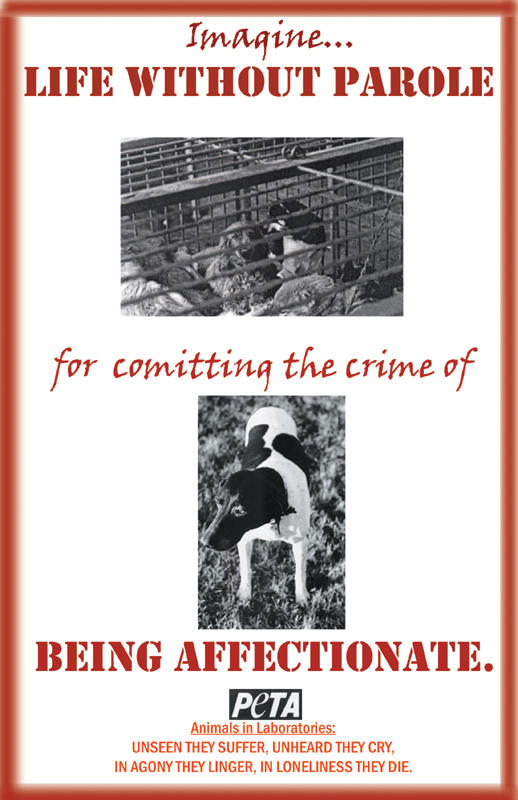 PETA Sign by XGirl-in-Aisle10 on DeviantArt