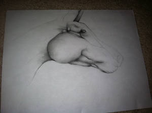 Horse WIP