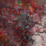 Falling Through infinite Distortions