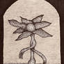 Not All Plants Are Shaolin Masters