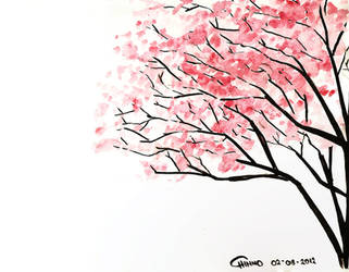 Cherry Blossom by cappuchinnopony