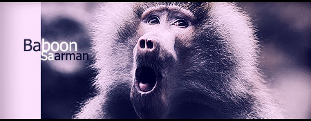 Baboon