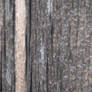 wood texture