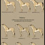 Equus Jubatus - color- pattern