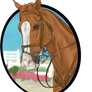 A Picture of an Eventer