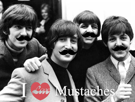 The Mustache 4