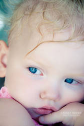 baby blue eyes