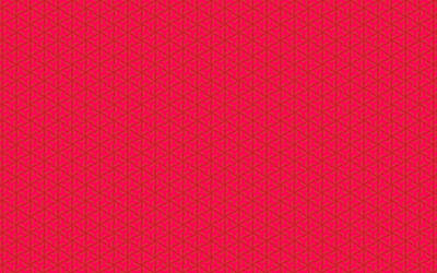 Red Abstract Pattern