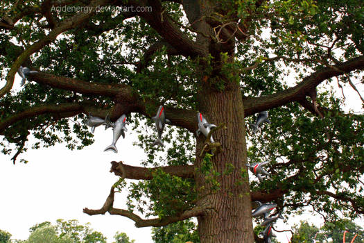 Sharks in a Tree. Obviously.