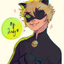 Chat Noir