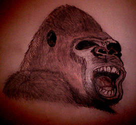 Just a Gorilla