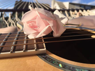 Just a Pink Rose on a Dean Guitar