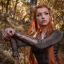 Tauriel - The Hobbit