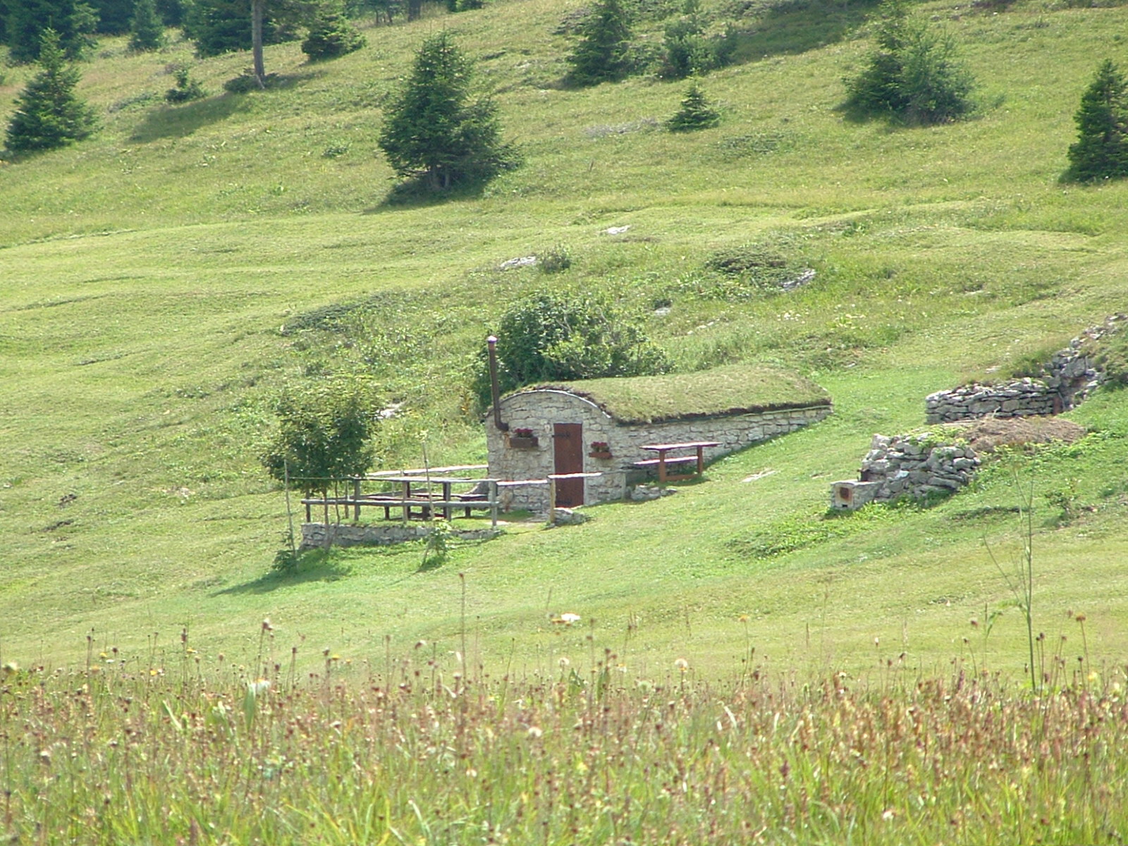 Malga