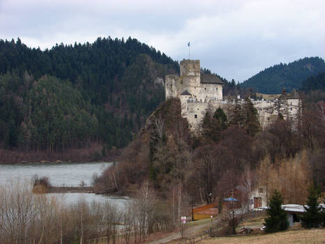 Carpathian castle