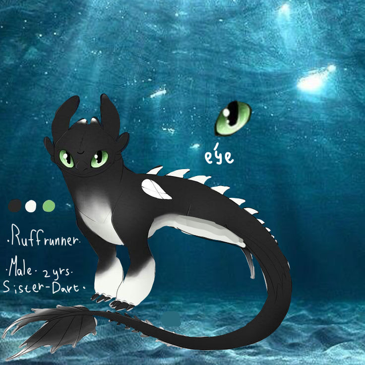 Sea Ruffrunner , The Night light by YanoOrca on DeviantArt