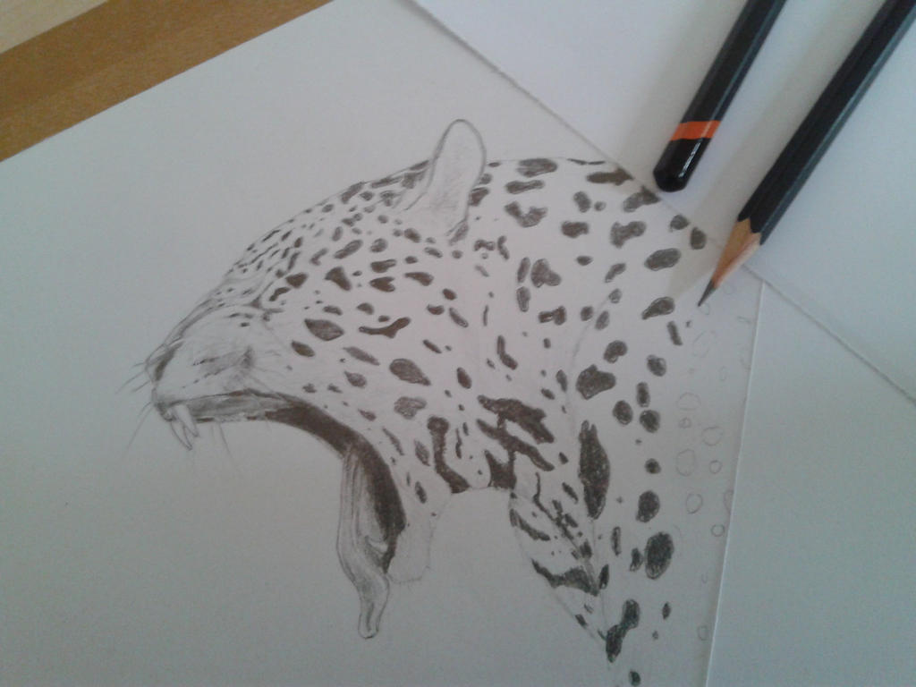 jaguar