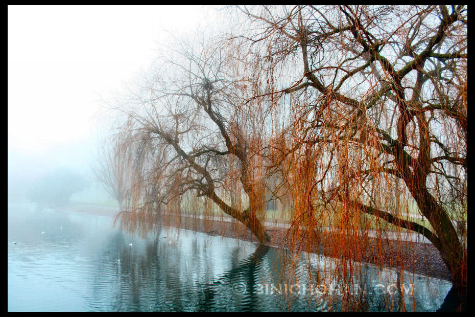 At Wardown Lake