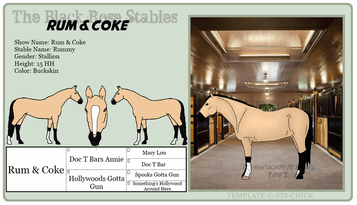 Official Ref: Rum and Coke by NomadicRoyaleStable