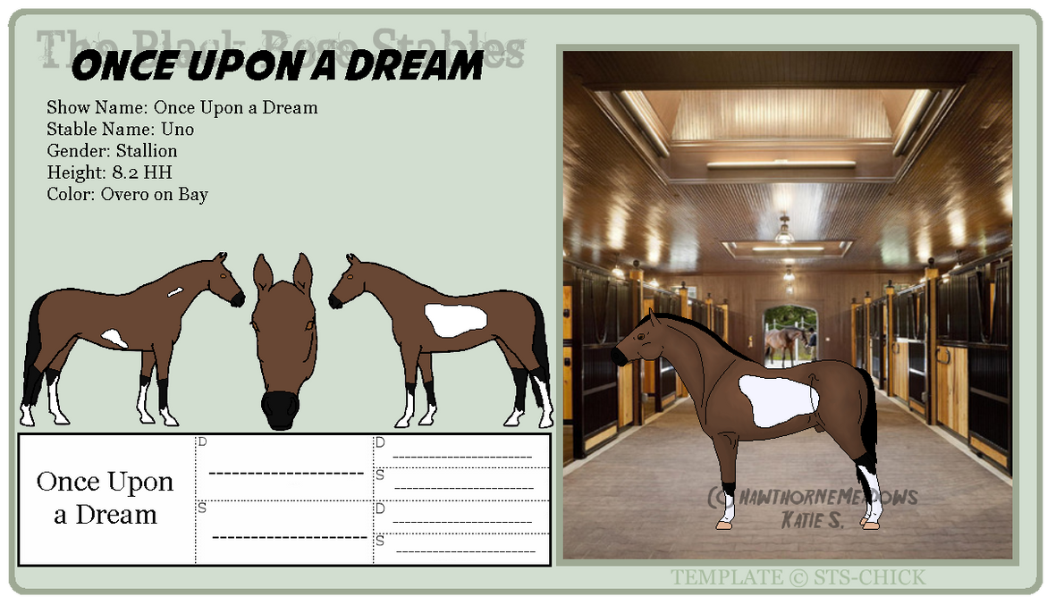 Official Ref: Once Upon a Dream by NomadicRoyaleStable