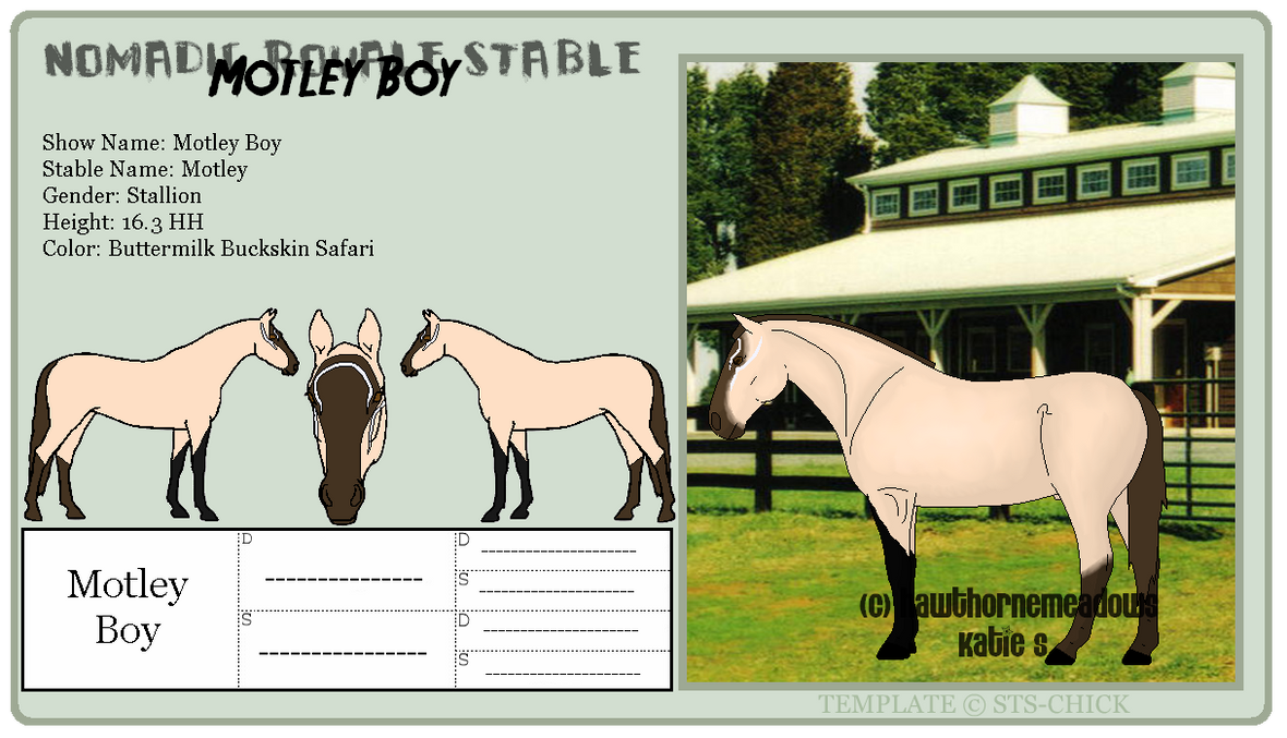 Official Ref: 036 Motley Boy by NomadicRoyaleStable