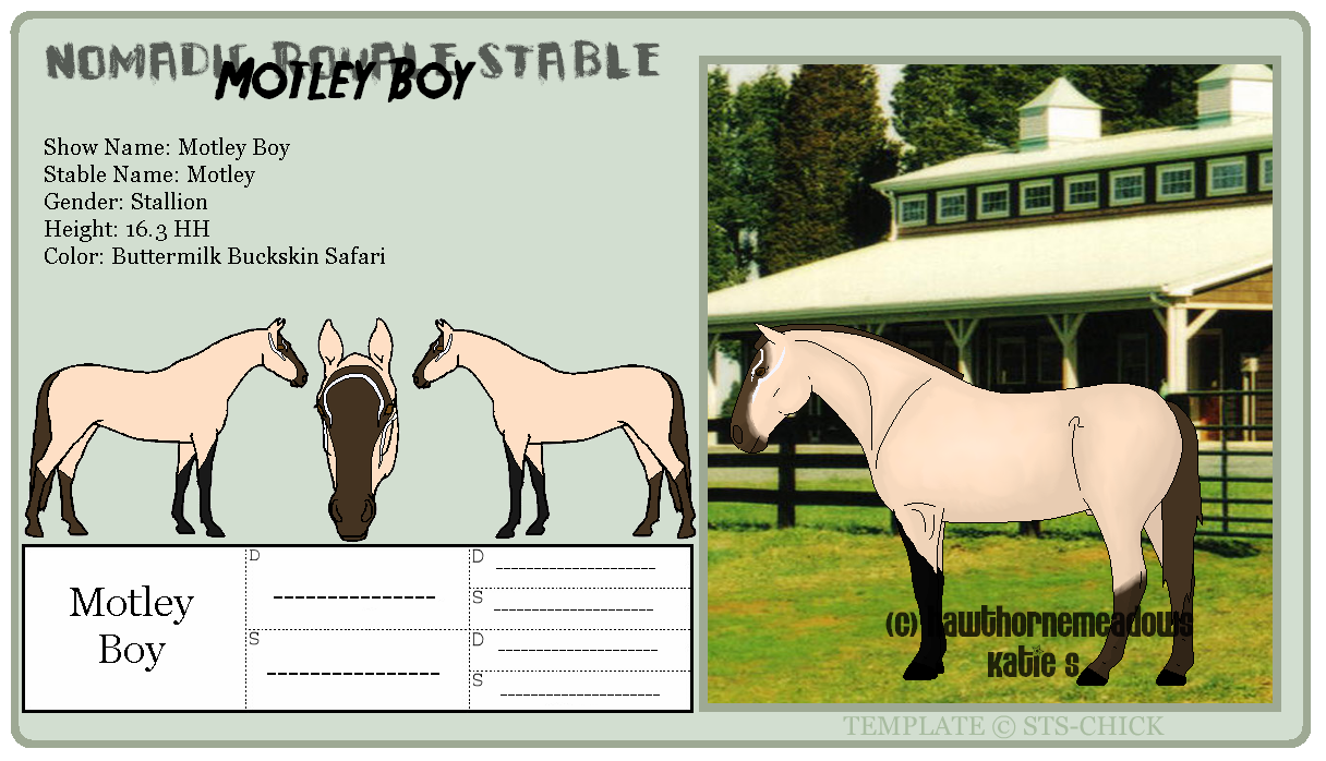 Official Ref: 036 Motley Boy