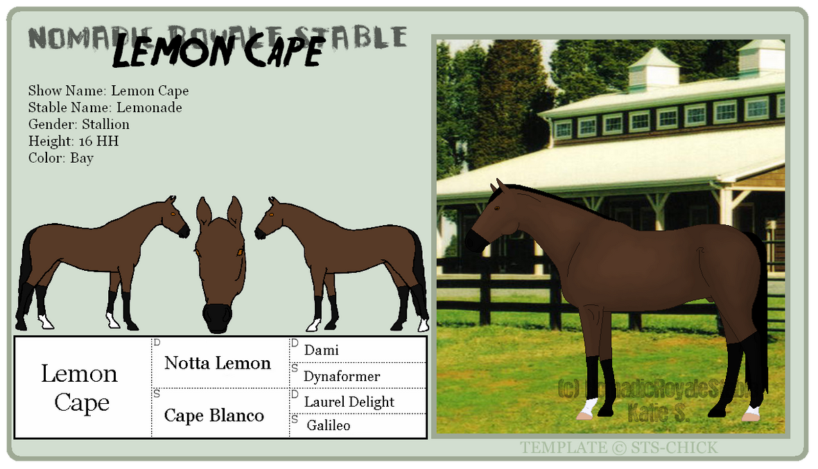 Official Ref: Lemon Cape by NomadicRoyaleStable