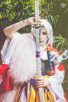 Sesshomaru cosplay III