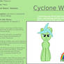 MLP TLOF Character BIO, Cyclone Wing