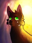 Longing for the Sun (Hollyleaf Tribute)
