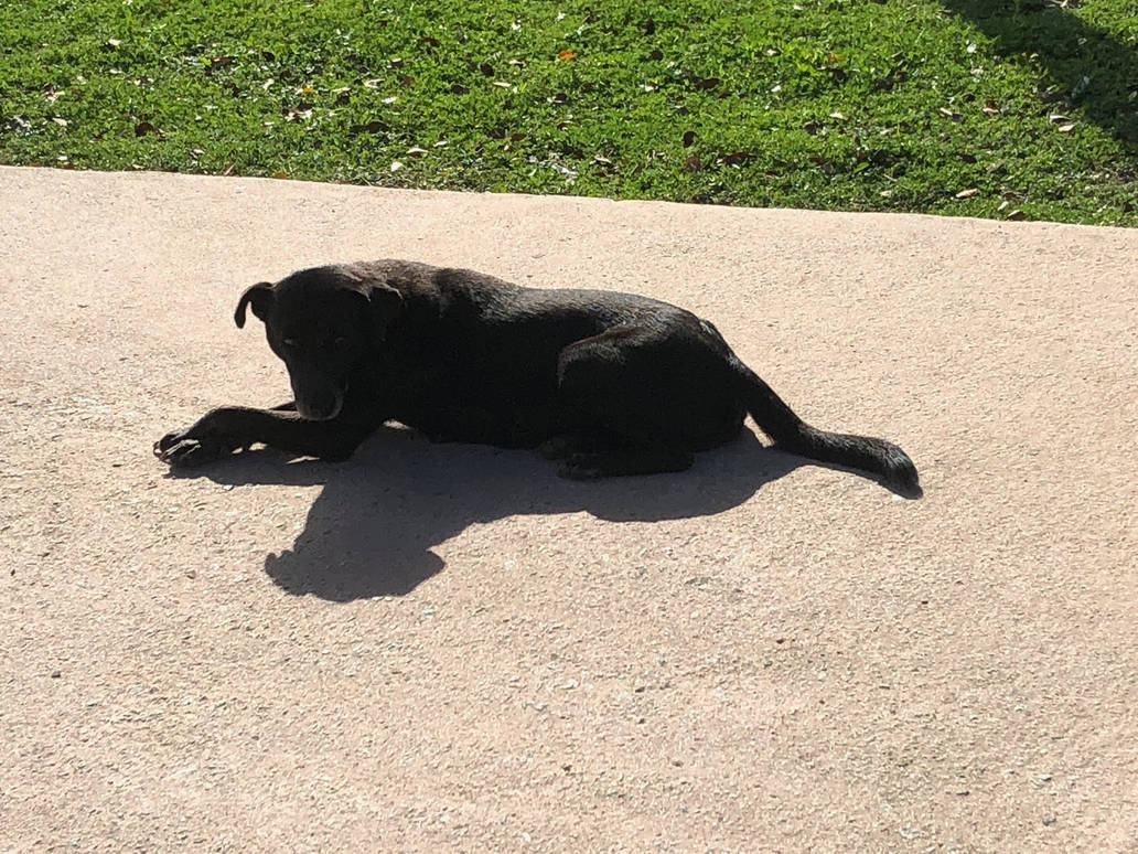 Untitled by CreativeFandomMinds Untitled by CreativeFandomMinds