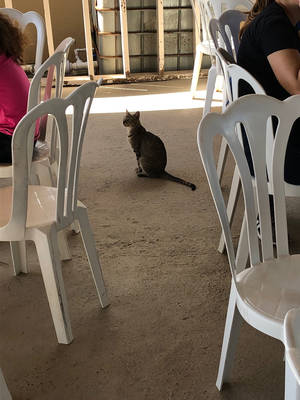 Untitled by CreativeFandomMinds Untitled by CreativeFandomMinds