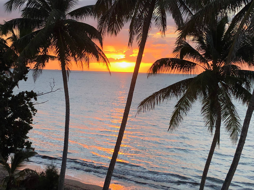 Untitled by CreativeFandomMinds Untitled by CreativeFandomMinds