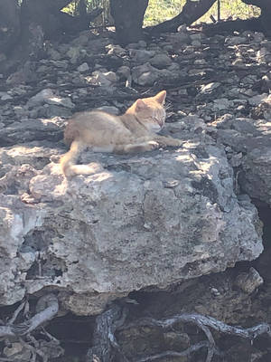 Untitled by CreativeFandomMinds Untitled by CreativeFandomMinds