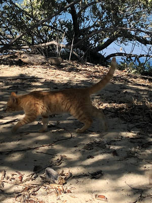 Untitled by CreativeFandomMinds Untitled by CreativeFandomMinds