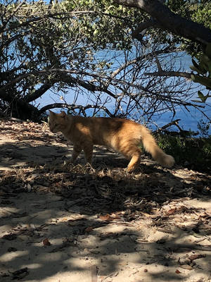 Untitled by CreativeFandomMinds Untitled by CreativeFandomMinds